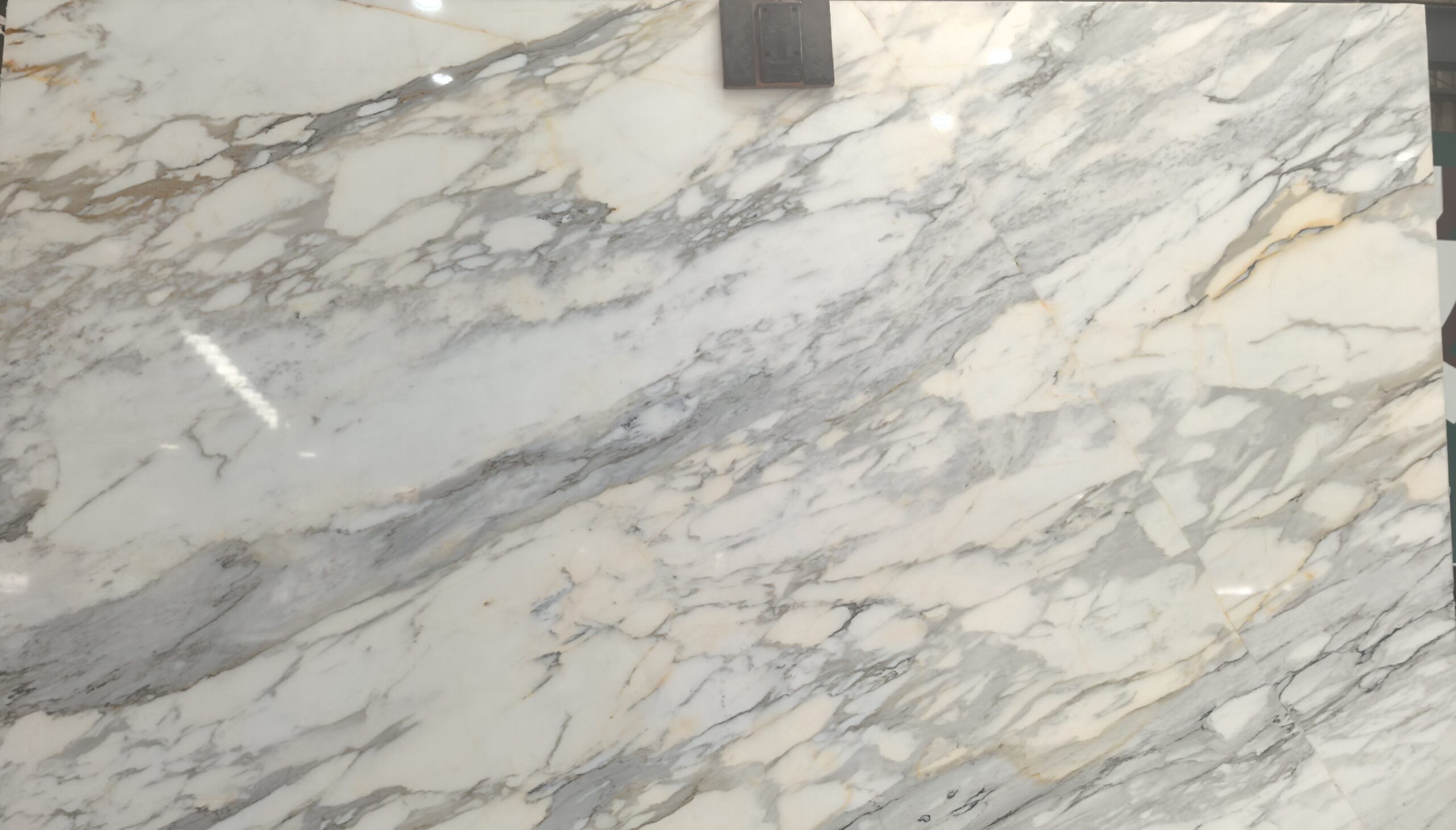 Calacatta Gold