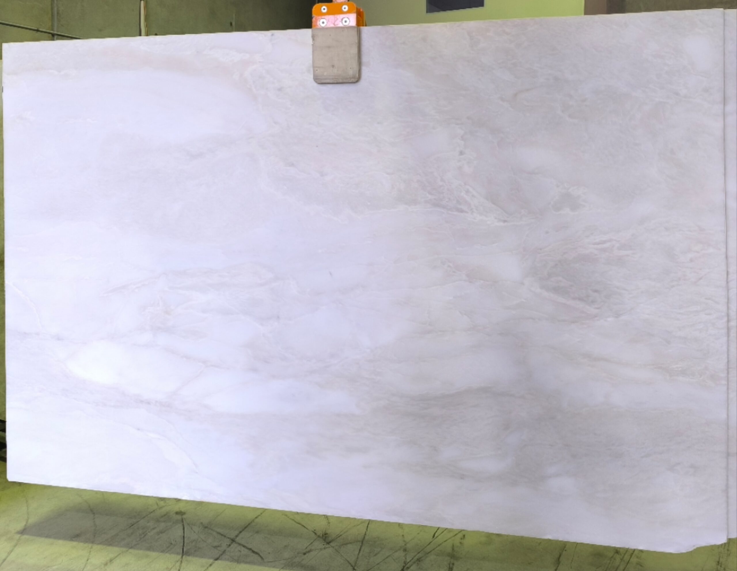 Bianco Rihno #22